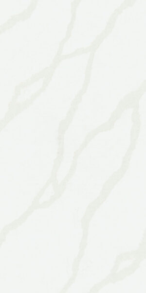Your Image