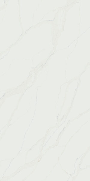 Your Image